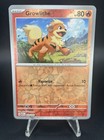 Growlithe