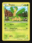 Tropius