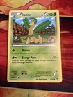 Tropius