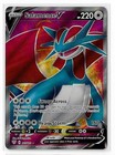Salamence V