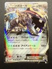 Steelix