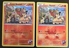 Team Magma's Numel