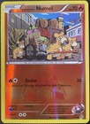 Team Magma's Numel