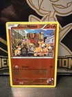 Team Magma's Numel