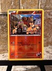 Team Magma's Numel