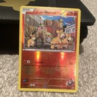 Team Magma's Numel