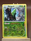 Metapod