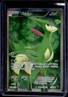 Virizion