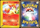 Ponyta