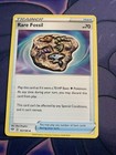 Rare Fossil