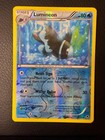 Lumineon