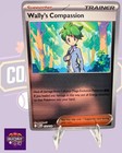 Wally's Compassion