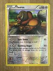 Tauros