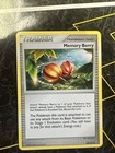 Memory Berry