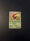 Meganium