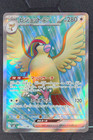 Pidgeot ex