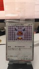 Poncho-Wearing Eevee 