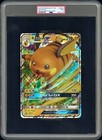 Raichu GX