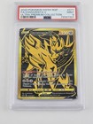 Zamazenta V
