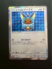 Poncho-Wearing Eevee 