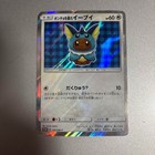 Poncho-Wearing Eevee 