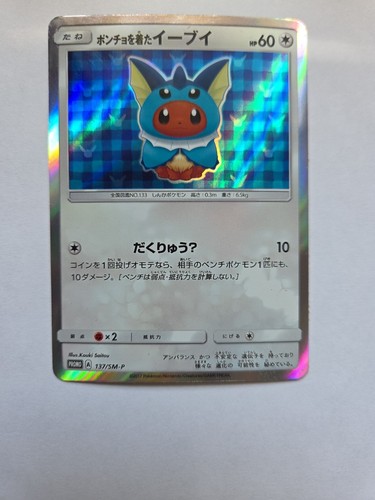 Poncho-Wearing Eevee 