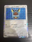 Poncho-Wearing Eevee 