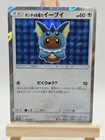Poncho-Wearing Eevee 