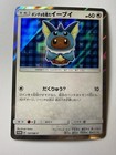 Poncho-Wearing Eevee 