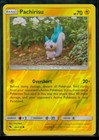 Pachirisu