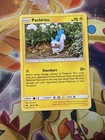 Pachirisu