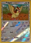 Pidgey