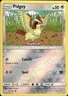 Pidgey