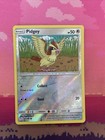 Pidgey
