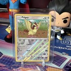 Pidgey