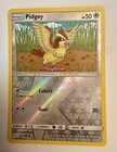 Pidgey