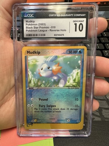 Mudkip
