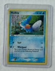 Mudkip