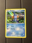 Mudkip
