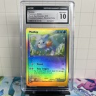 Mudkip