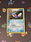 Mudkip