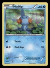 Mudkip