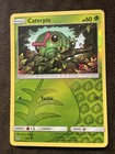Caterpie