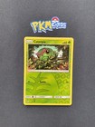 Caterpie