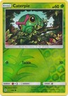 Caterpie