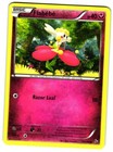 Flabebe