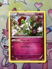 Floette