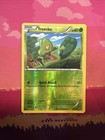 Treecko