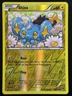 Shinx