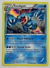 Feraligatr